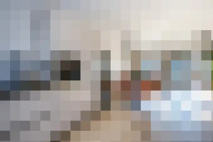 Libellendans 8 Capelle aan den IJssel thumbnail 17