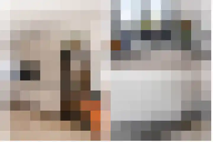 Libellendans 8 Capelle aan den IJssel thumbnail 20