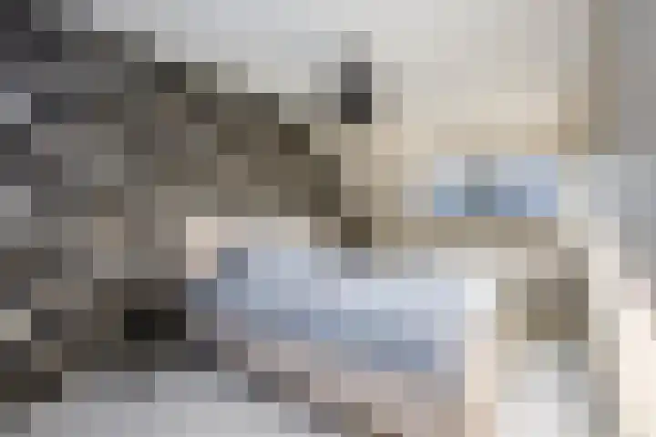 Libellendans 8 Capelle aan den IJssel thumbnail 24