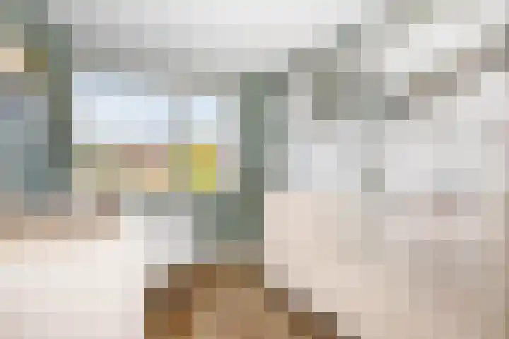 Libellendans 8 Capelle aan den IJssel thumbnail 28