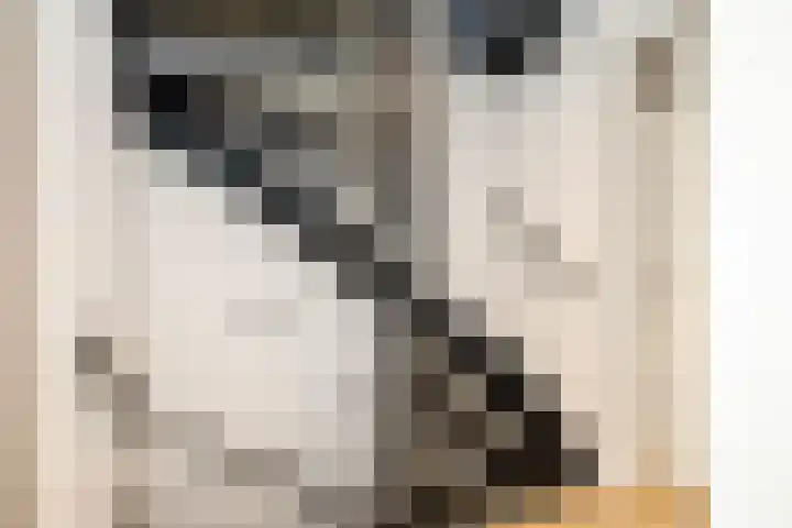 Libellendans 8 Capelle aan den IJssel thumbnail 31