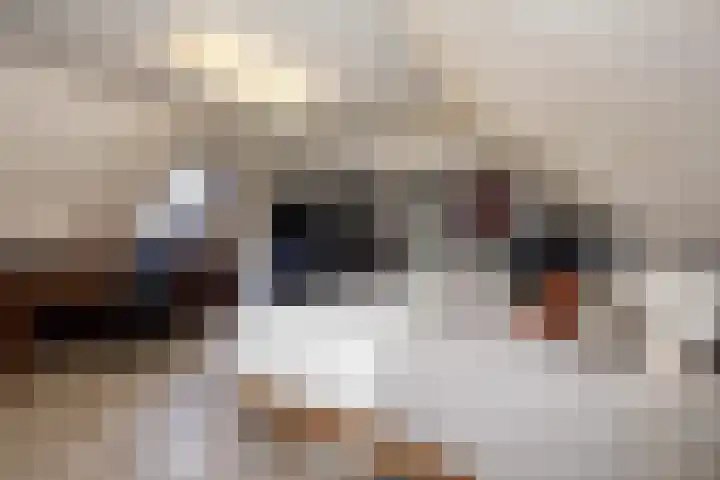 Libellendans 8 Capelle aan den IJssel thumbnail 32