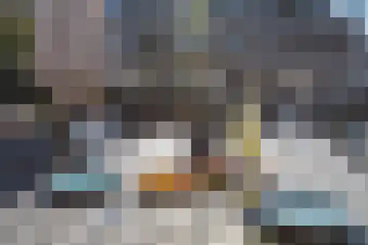 Libellendans 8 Capelle aan den IJssel thumbnail 39