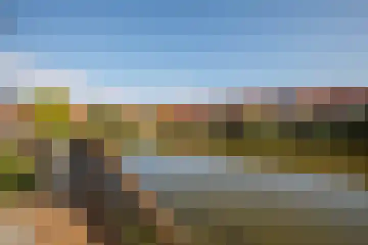 Libellendans 8 Capelle aan den IJssel thumbnail 42
