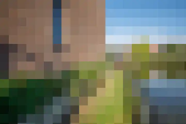 Libellendans 8 Capelle aan den IJssel thumbnail 43