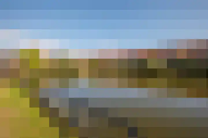 Libellendans 8 Capelle aan den IJssel thumbnail 44