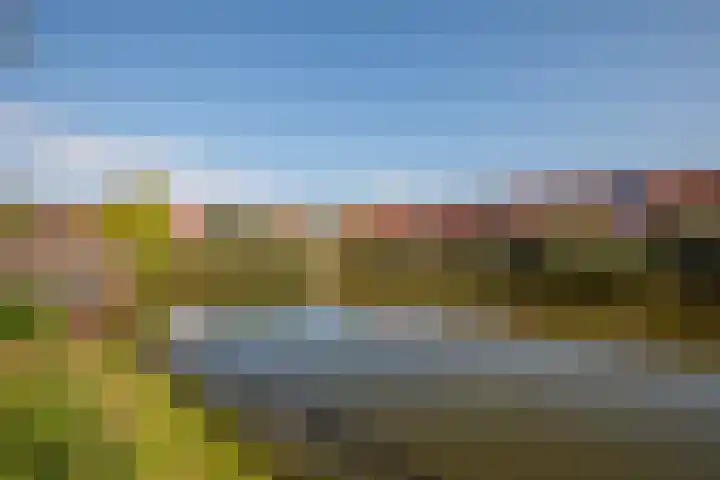 Libellendans 8 Capelle aan den IJssel thumbnail 46
