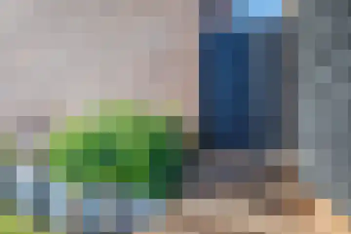 Libellendans 8 Capelle aan den IJssel thumbnail 47