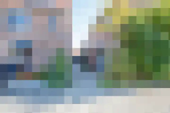 Libellendans 8 Capelle aan den IJssel thumbnail 48