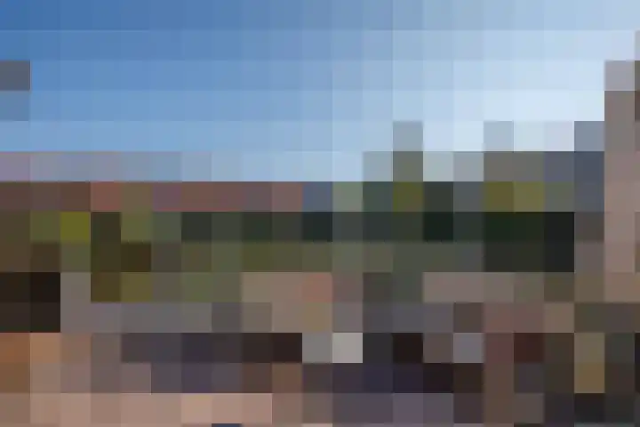 Libellendans 8 Capelle aan den IJssel thumbnail 5