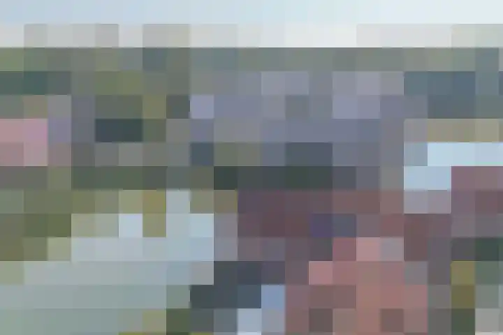 Libellendans 8 Capelle aan den IJssel thumbnail 54