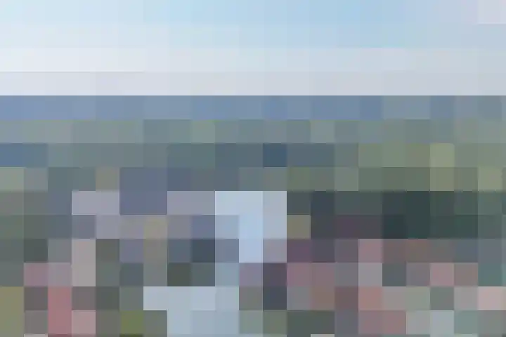 Libellendans 8 Capelle aan den IJssel thumbnail 55