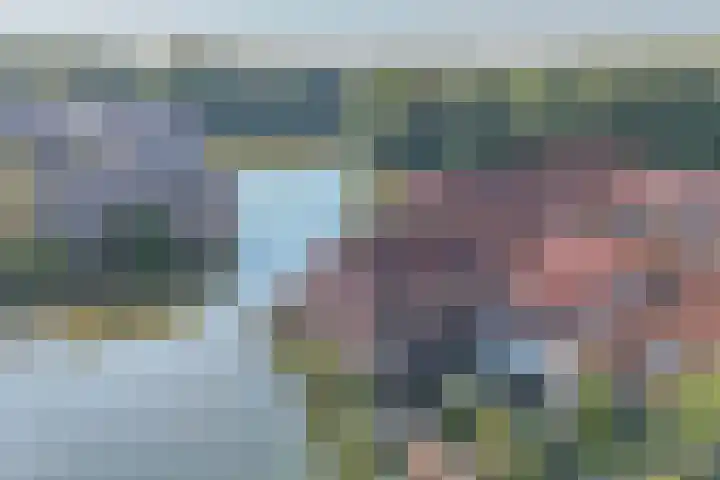 Libellendans 8 Capelle aan den IJssel thumbnail 6