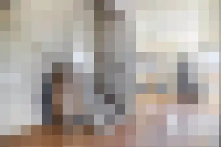Libellenlaan 1 Son en Breugel thumbnail 10
