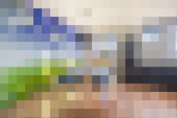 Libellenlaan 1 Son en Breugel thumbnail 11