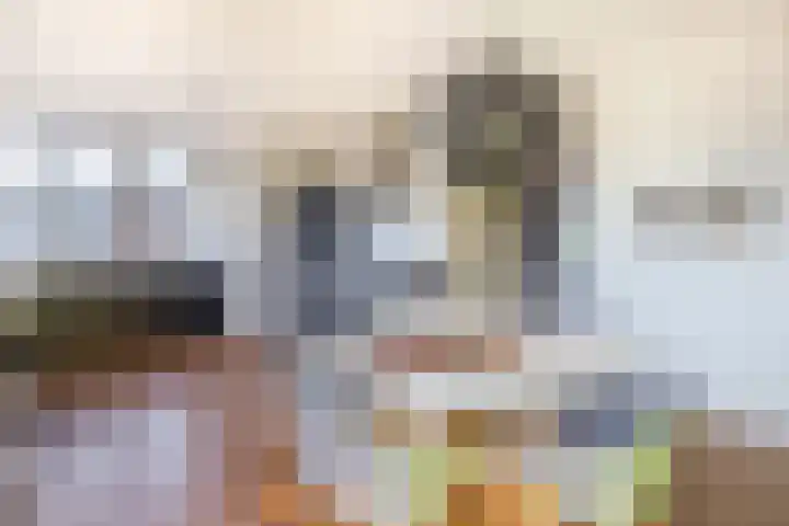 Libellenlaan 1 Son en Breugel thumbnail 12