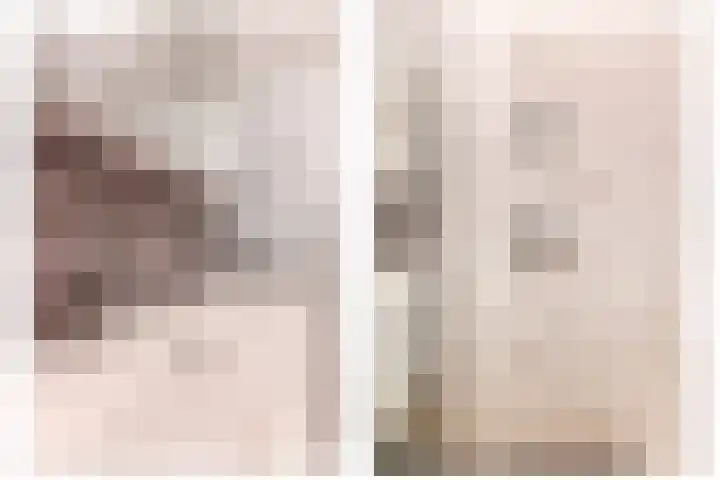 Libellenlaan 1 Son en Breugel thumbnail 25