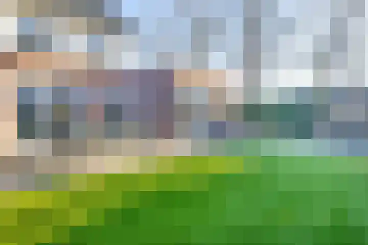 Libellenlaan 1 Son en Breugel thumbnail 30
