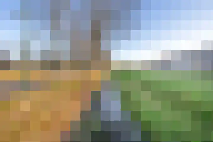 Libellenlaan 1 Son en Breugel thumbnail 33