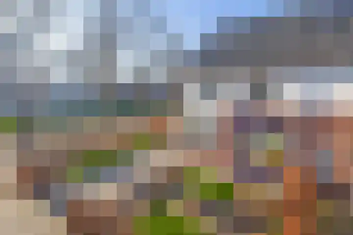 Libellenlaan 1 Son en Breugel thumbnail 37