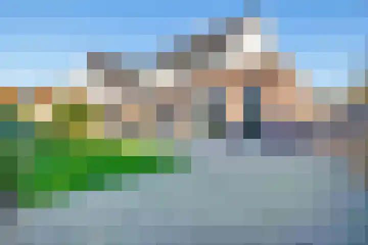 Libellenlaan 1 Son en Breugel thumbnail 4