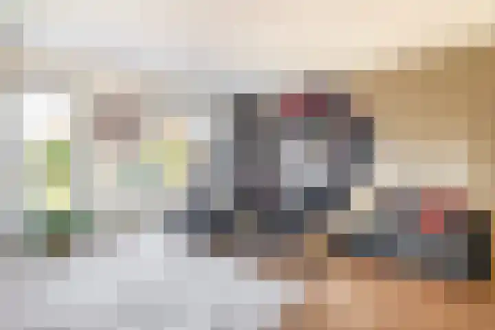 Libellenlaan 1 Son en Breugel thumbnail 9