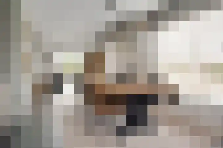 Libellenlaan 27 Son en Breugel thumbnail 10