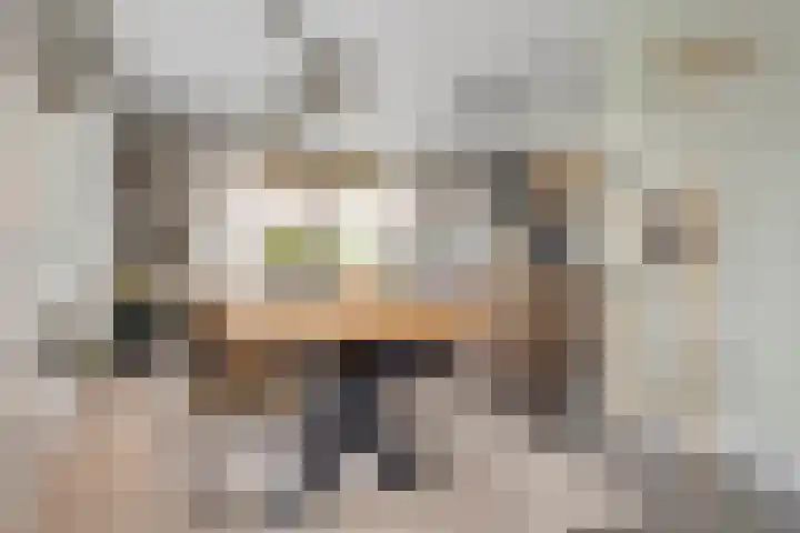 Libellenlaan 27 Son en Breugel thumbnail 12
