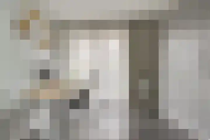 Libellenlaan 27 Son en Breugel thumbnail 13