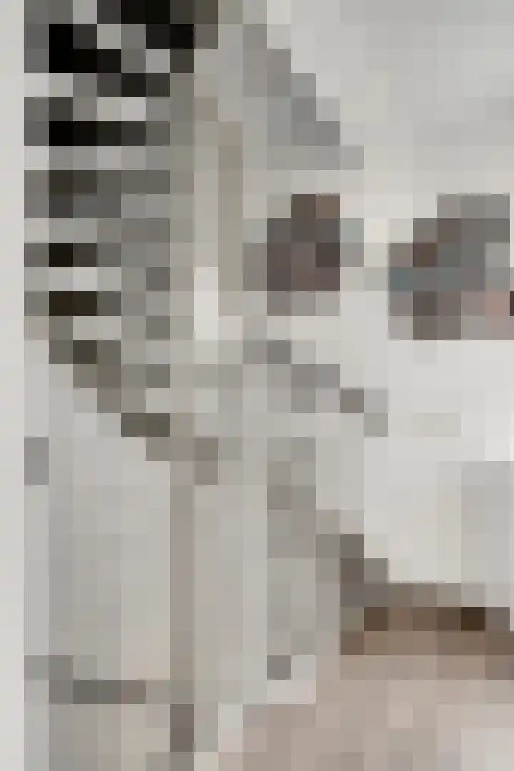 Libellenlaan 27 Son en Breugel thumbnail 15
