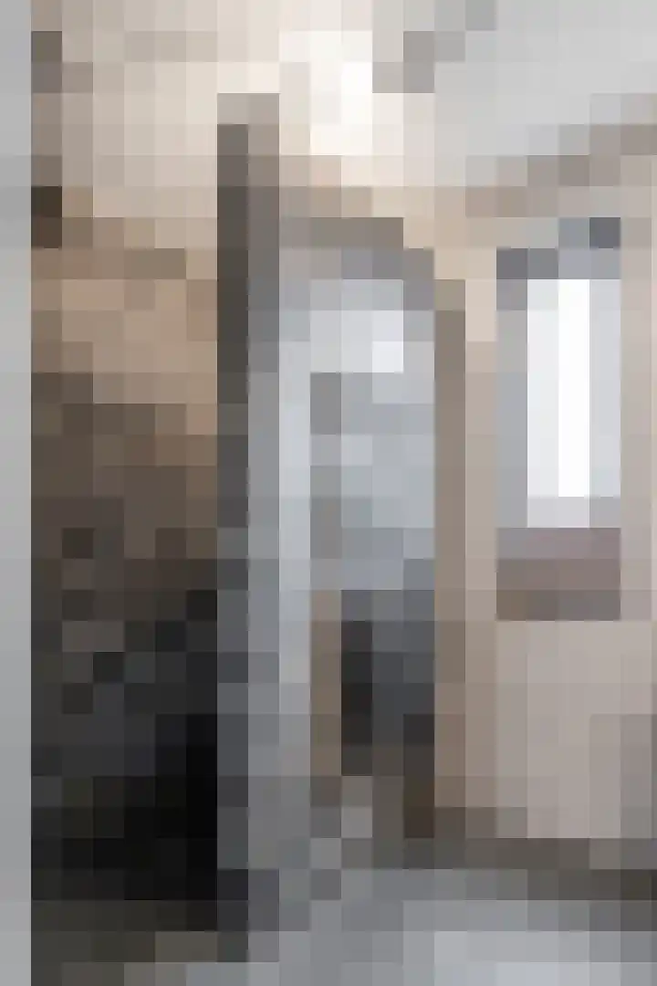 Libellenlaan 27 Son en Breugel thumbnail 22