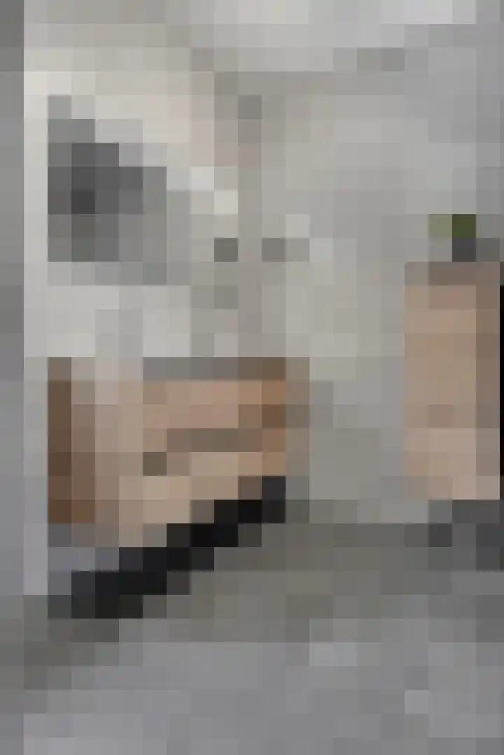 Libellenlaan 27 Son en Breugel thumbnail 23
