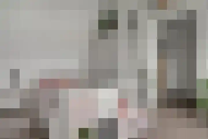Libellenlaan 27 Son en Breugel thumbnail 26