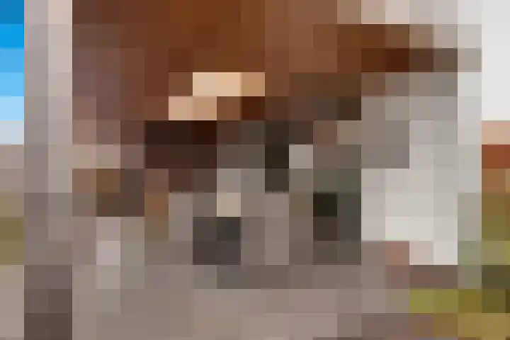 Libellenlaan 27 Son en Breugel thumbnail 28