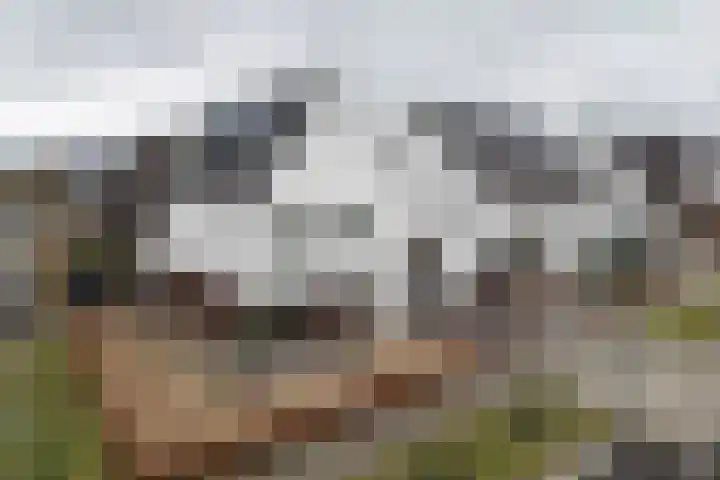 Libellenlaan 27 Son en Breugel thumbnail 32