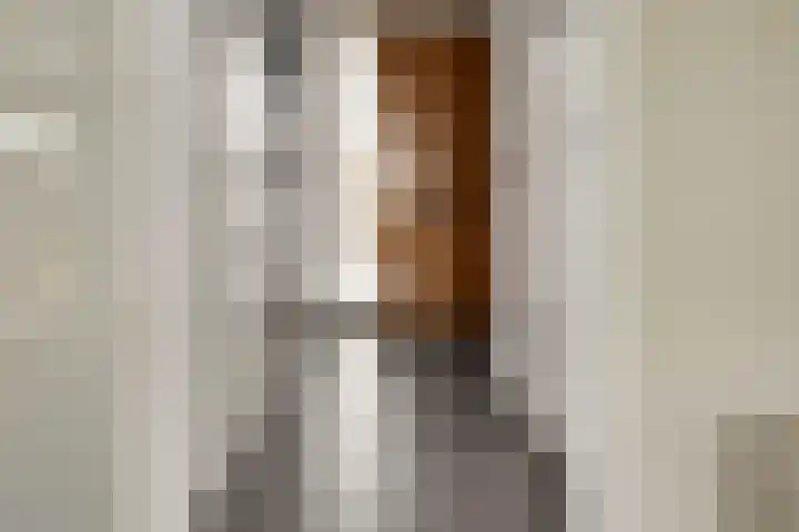 Libellenlaan 27 Son en Breugel thumbnail 4