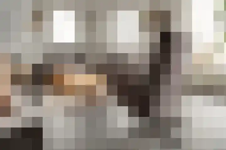 Libellenlaan 27 Son en Breugel thumbnail 6