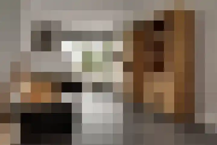 Libellenlaan 27 Son en Breugel thumbnail 9