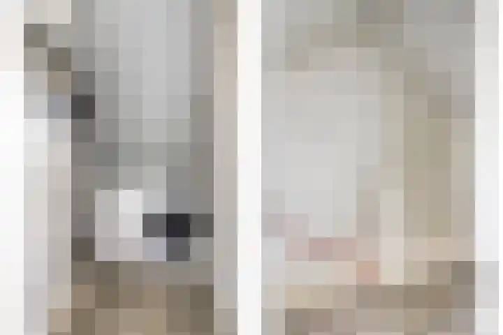 Libellenlaan 54 Son en Breugel thumbnail 23