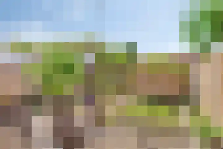 Libellenlaan 54 Son en Breugel thumbnail 30