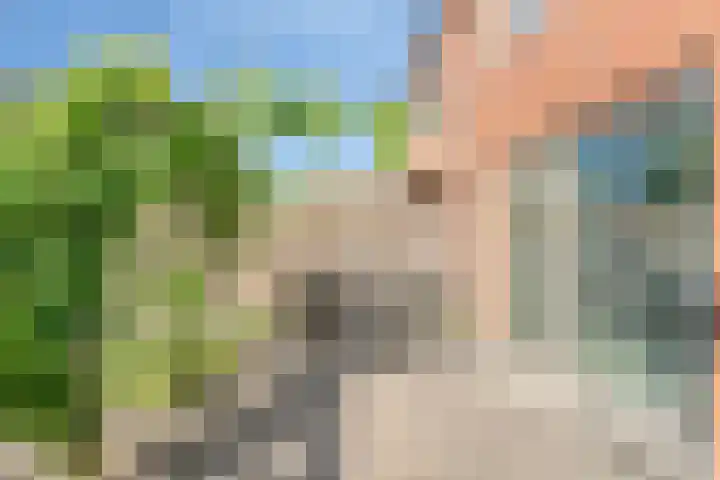 Libellenlaan 54 Son en Breugel thumbnail 32