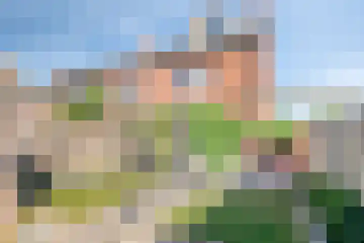 Libellenlaan 54 Son en Breugel thumbnail 33