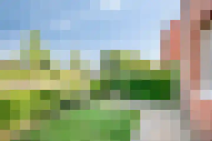 Libellenlaan 54 Son en Breugel thumbnail 37