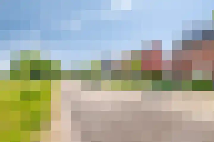 Libellenlaan 54 Son en Breugel thumbnail 38