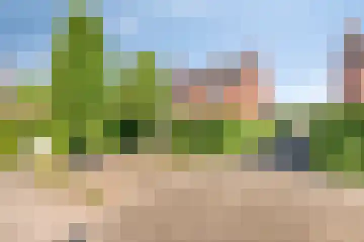 Libellenlaan 54 Son en Breugel thumbnail 39