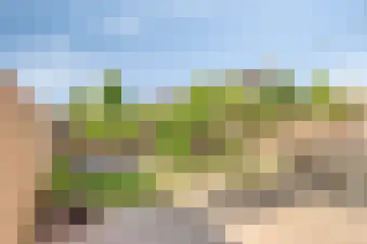 Libellenlaan 54 Son en Breugel thumbnail 4
