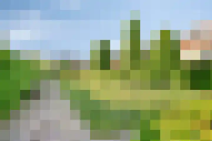 Libellenlaan 54 Son en Breugel thumbnail 40