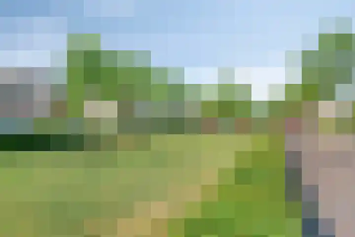 Libellenlaan 54 Son en Breugel thumbnail 41