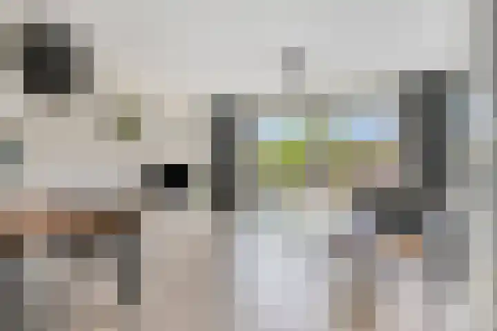 Libellenlaan 54 Son en Breugel thumbnail 5