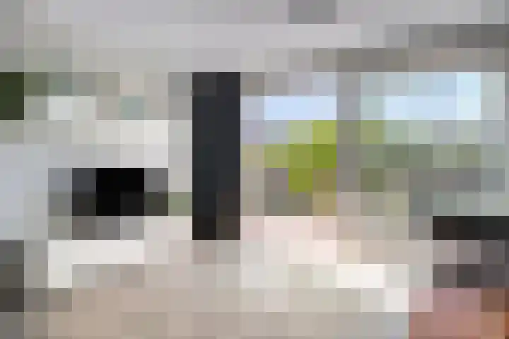 Libellenlaan 54 Son en Breugel thumbnail 7